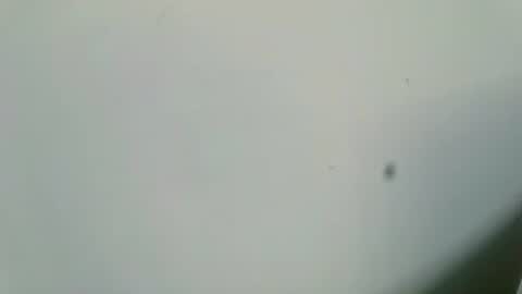 Inglorious Hairy Uncut online show from February 16, 6:54 am