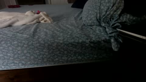 Snapshot of insatiablecpl333 chatting on January 23, 2:07 pm InsatiableCpl333 online show from January 23, 2:07 pm