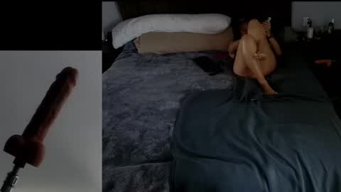 Snapshot of insatiablecpl333 chatting on February 19, 3:49 pm InsatiableCpl333 online show from February 19, 3:49 pm