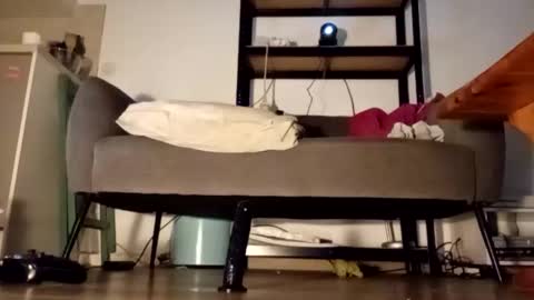 iron_cock40 online show from April 24, 10:01 pm