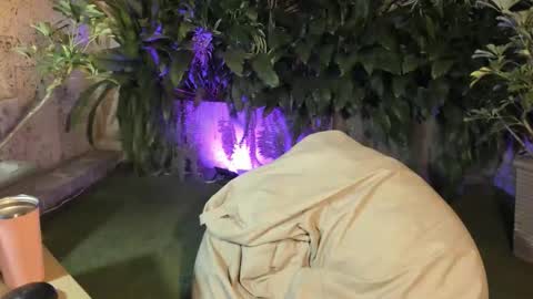 isabelastefano online show from October 4, 12:08 am