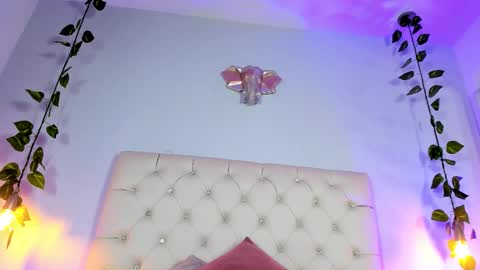   online show from November 21, 8:29 pm