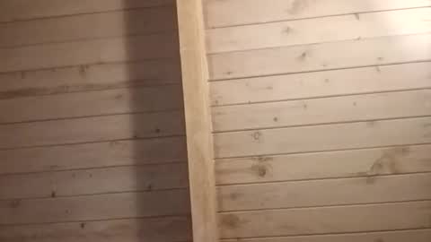 Isabella online show from March 20, 10:42 am