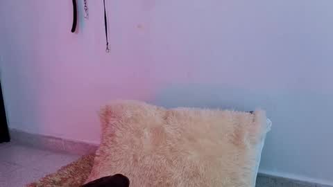 Snapshot of issafoxx chatting on April 13, 12:10 pm Issafoxx online show from April 13, 12:10 pm