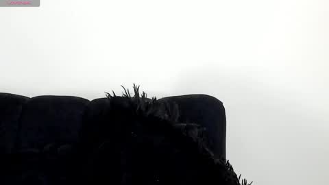 Angelica online show from April 15, 7:58 pm