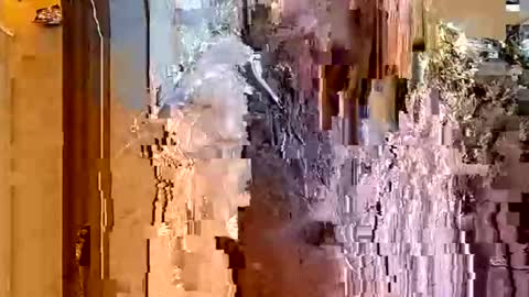 ItsFoxie online show from January 18, 4:49 am