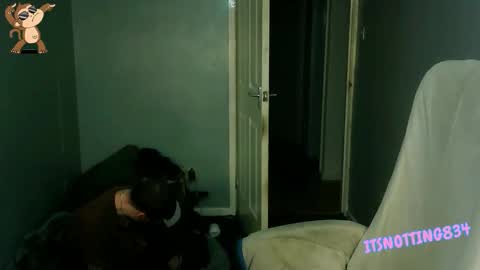    online show from September 13, 9:03 pm