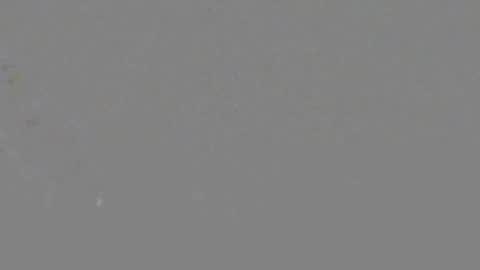 ItsNyladior online show from June 6, 3:39 pm