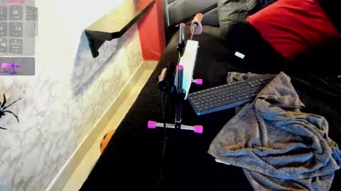 Ivis  online show from October 21, 12:28 pm