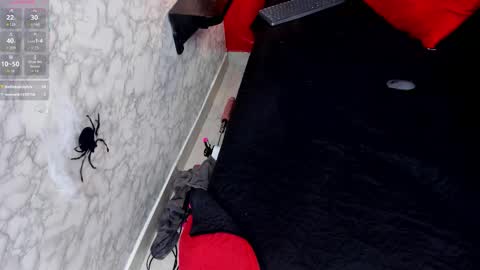 Ivis  online show from October 25, 1:18 pm