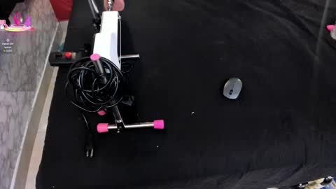 Ivis  online show from April 13, 1:16 pm