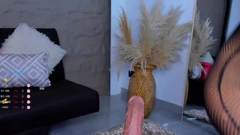 Snapshot of ivy_li chatting on December 4, 6:33 am Daniela online show from December 4, 6:33 am