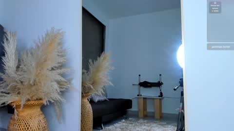 Snapshot of ivy_li chatting on January 14, 3:11 am Daniela online show from January 14, 3:11 am