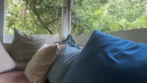 Snapshot of ivysagex chatting on September 12, 1:17 am ivysagex online show from September 12, 1:17 am