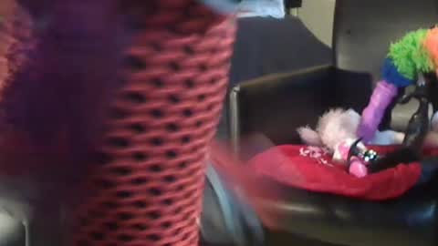 Snapshot of jacekwrrr chatting on December 28, 10:58 am JACKSLUT BUY ME . FAN CLUB MEMBERS AND THOSE WHOM THE MEMBERS INDICATE SISY SLUT PROVIDES THEM FREE SERVICES online show from December 28, 10:58 am