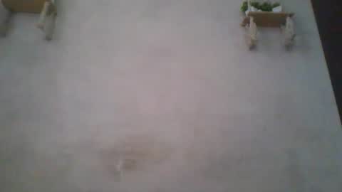 Snapshot of jacqueline_fernandez chatting on June 14, 5:09 am jacqueline_fernandez online show from June 14, 5:09 am