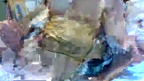 jameswhite5001 online show from February 8, 3:21 pm