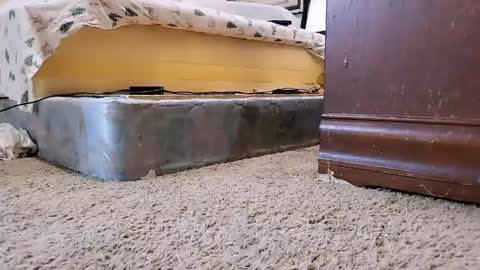 Bootyshows online show from September 9, 12:26 pm