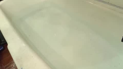 Bootyshows online show from October 29, 7:59 pm