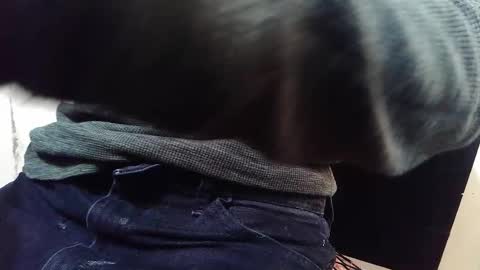 Bootyshows online show from October 30, 9:11 am