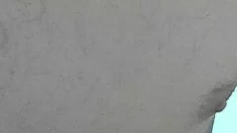 Snapshot of jamwarnerone chatting on July 28, 6:20 pm Bootyshows online show from July 28, 6:20 pm