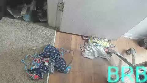 Snapshot of jamwarnerone chatting on August 2, 3:54 pm Bootyshows online show from August 2, 3:54 pm