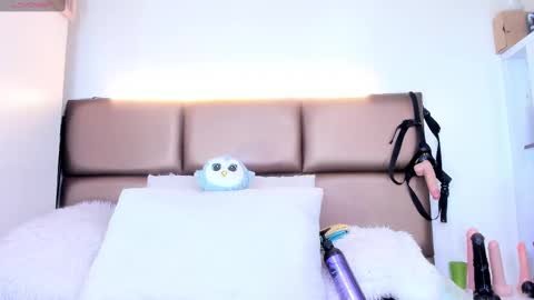 Janette online show from February 15, 3:31 am