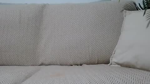 Ella0105 online show from October 11, 7:12 pm