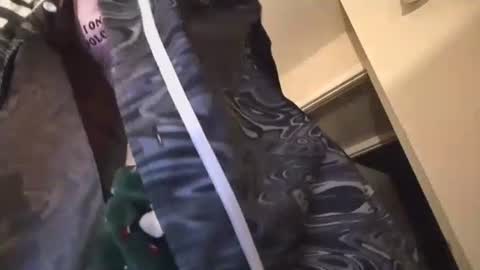 jasper1thewhor3 online show from October 25, 5:04 am