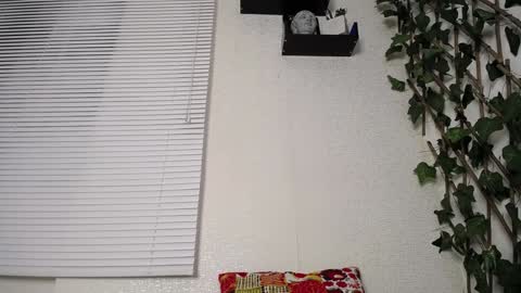 JKing  online show from January 15, 2:49 am