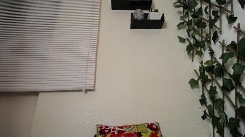 JKing  online show from January 23, 4:09 am