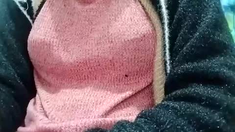 jasspreettt online show from December 26, 3:16 am