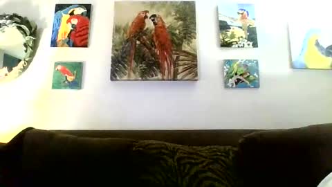 jay-jay1475 online show from January 16, 8:46 pm