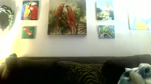 jay-jay1475 online show from January 20, 10:48 pm