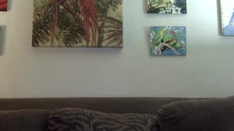 jay-jay1475 online show from January 21, 9:25 pm