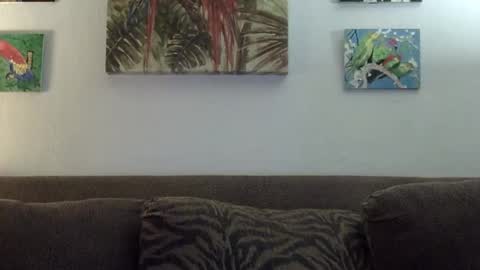 jay-jay1475 online show from January 22, 6:10 pm