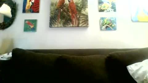 jay-jay1475 online show from January 30, 8:31 pm