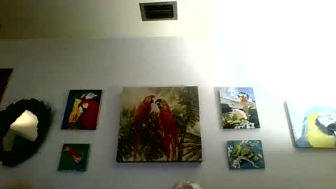 jay-jay1475 online show from January 31, 6:03 pm