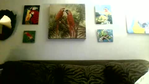 jay-jay1475 online show from February 17, 1:58 am