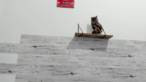 Jaycreedd online show from February 22, 11:24 pm