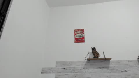 Jaycreedd online show from October 25, 12:07 am