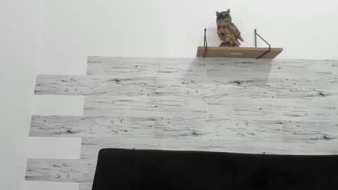 Jaycreedd online show from November 28, 4:53 pm