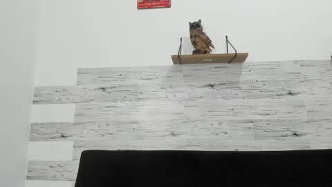 Jaycreedd online show from December 5, 4:10 am