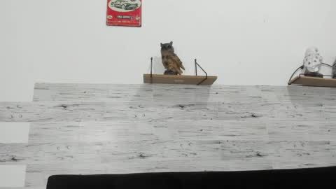 Jaycreedd online show from March 4, 5:13 am