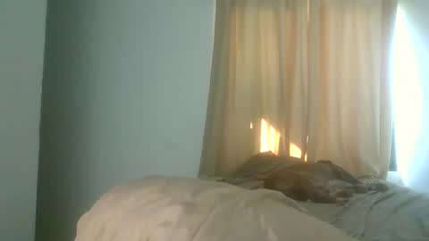 JC NATTY online show from November 30, 8:35 pm