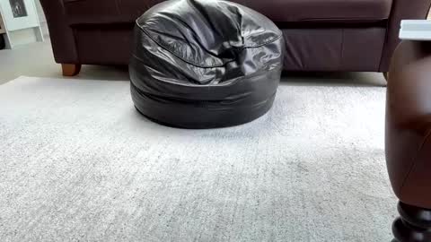 Sensual Jeeves online show from February 25, 3:16 pm