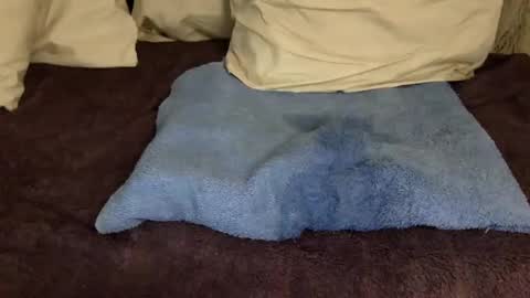 Jelli and Melli online show from March 10, 7:21 am