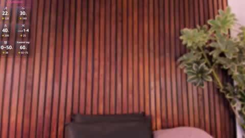     online show from November 4, 1:32 pm