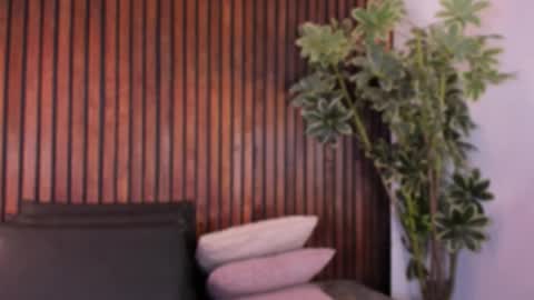     online show from November 6, 12:17 pm