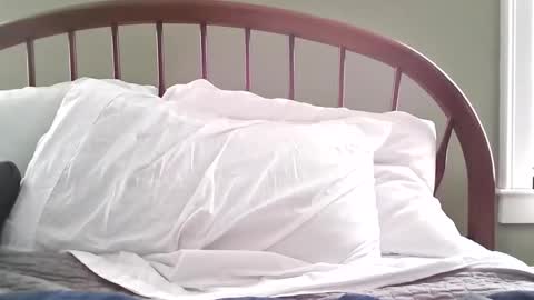 jerkingmanforyou online show from March 15, 1:39 pm